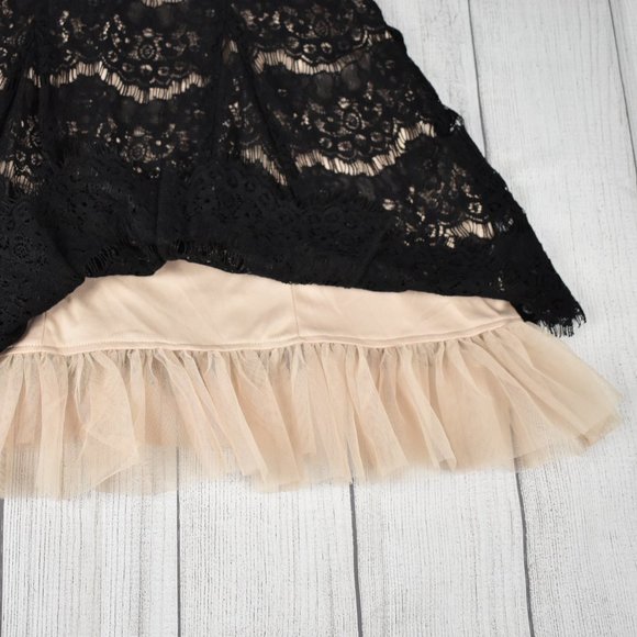 Whimsygoth Francesca Lace and Toole Sleeveless Full Skirt Semi Formal Dress - Picture 6 of 6